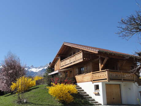 Chalet vue Mont Blanc