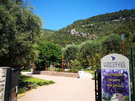 Bastide aux Violettes