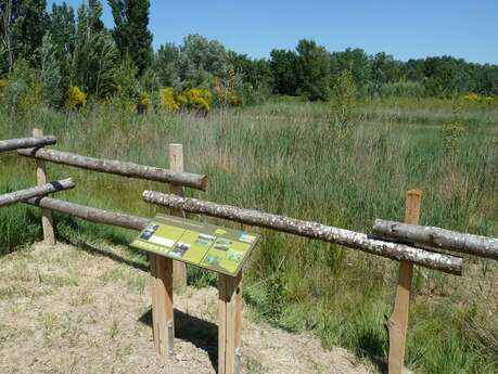 Espace naturel sensible de Belle-Île