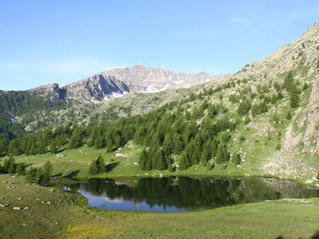 Equestrian center "Mercantour horseback riders"