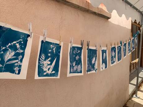 Atelier cyanotype fleurs et végétaux