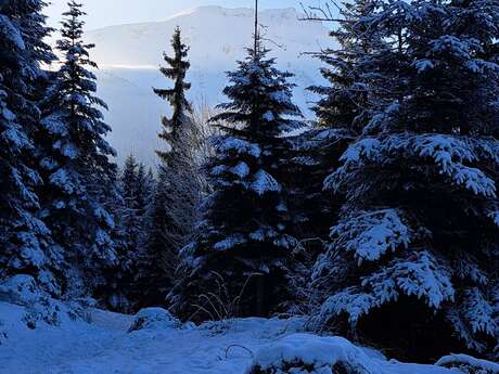 Montavus loop from Cordon - snowshoe trail