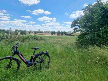 Circuit VTT-VTC n°9 - Le bocage de Foissiat