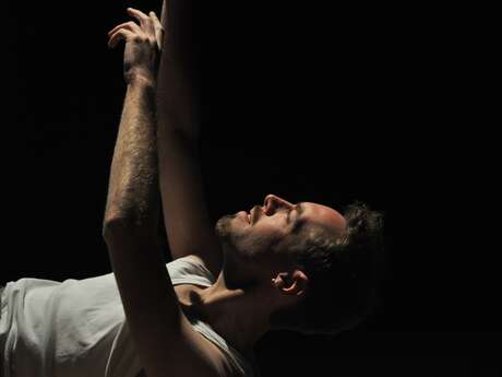 Spectacle Salle de traite