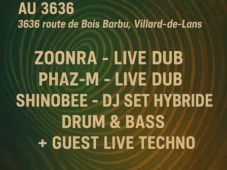 Soirée Dub, Drum n Bass et Techno