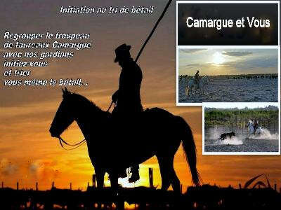 Camargue et Vous