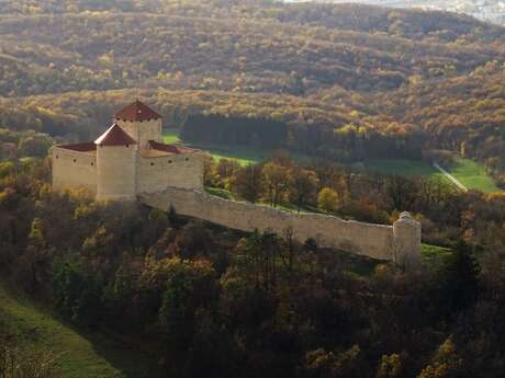 Visites libres du château des Allymes (JEP)