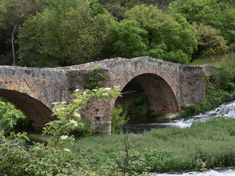 La route de la bauxite - Circuit 10