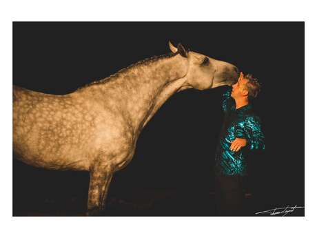 Spectacle equestre : Mouv'Art d'Equi’Créa