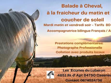 Balades à Cheval à la fraicheur du matin ou au coucher du soleil