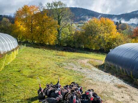 Ferme de Loutas