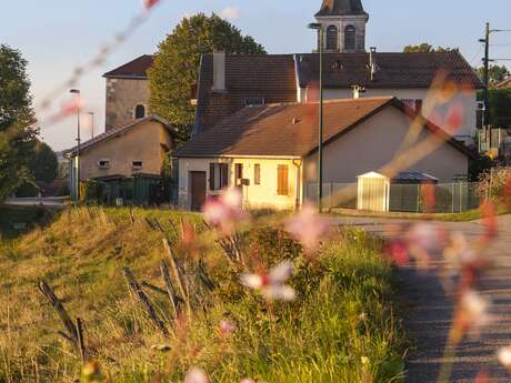 Visite patrimoine : Chatillon-en-Michaille