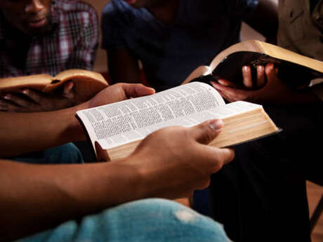 Échangeons nos savoirs : Pour l'amour des livres ... mais pas que !