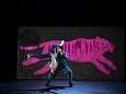 Je suis Tigre - spectacle - saison culturelle jeunes pousses