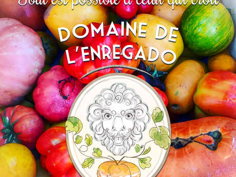 Domaine de l'Enregado