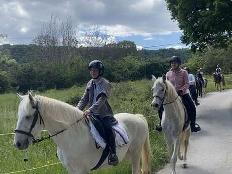 Randonnée équestre à la journée de la nouvelle année