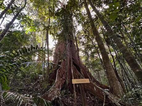 Mé Péou Walking Trail – Provincial Park of Grandes Fougères