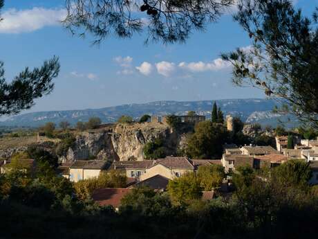 Château d' Alleins