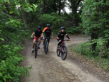 Site VTT FFC-Pays d'Oraison-Coeur de Durance-Circuit 3-Bleu-Oraison