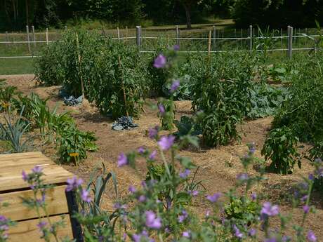 Formation jardinage au naturel à la Plantelière
