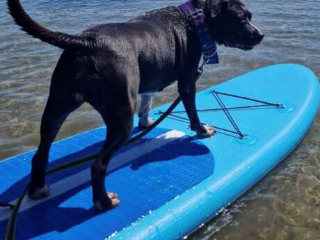 Escales Patrimoine : Cani-paddle au Jaï