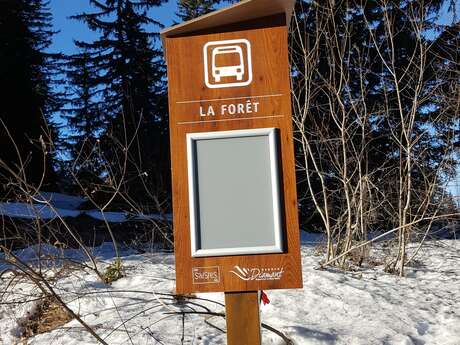 La forêt