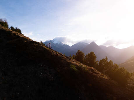 2 Alpes Bike Park