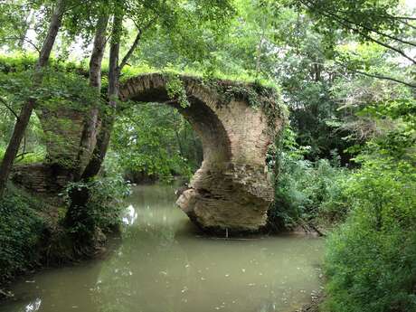 Pont du Vert