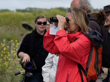 Behind the scenes at the nature reserve: the curator's exit