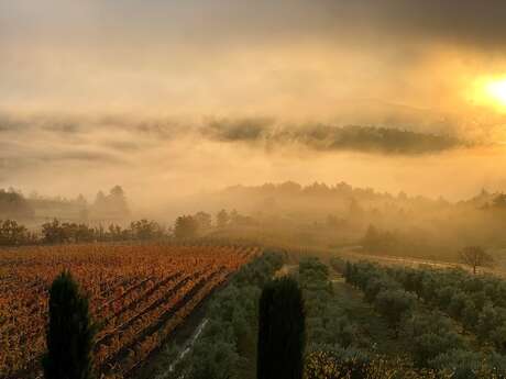 Domaine des Bergeries de Haute-Provence