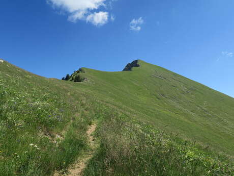Hike: Pointe de Nantaux