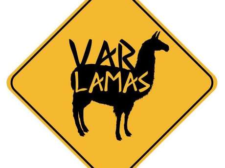 Stage pédagogique "Découverte et création, approche et connaissance des lamas" - Var Lamas