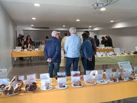 Exposition mycologique