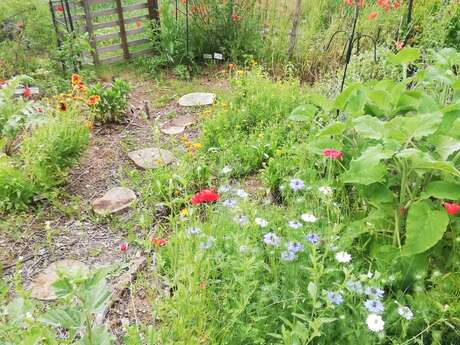 Jardin médicinal d'Entrecasteaux