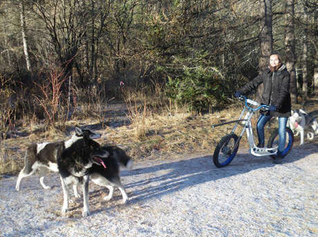 Cani randonnée avec Au Hurlement du Crépuscule