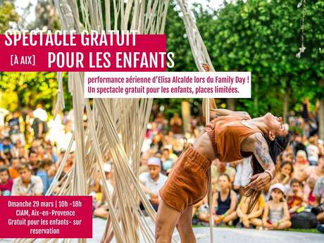 Spectacle de cirque aérien