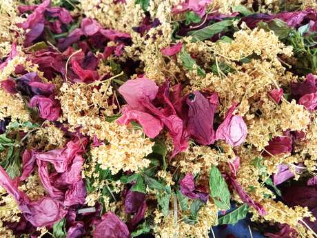 Aux Goûts Tendres - Herb garden - Flavor Producer