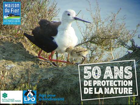 Oiseaux et nature - Edition spéciale