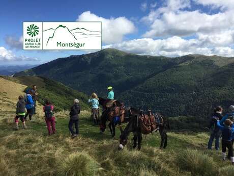Le patrimoine de Roquefixade avec les ânes