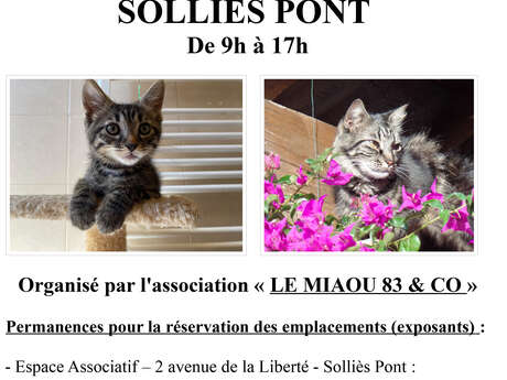 Vide-greniers de l'association Le Miaou 83 & Co