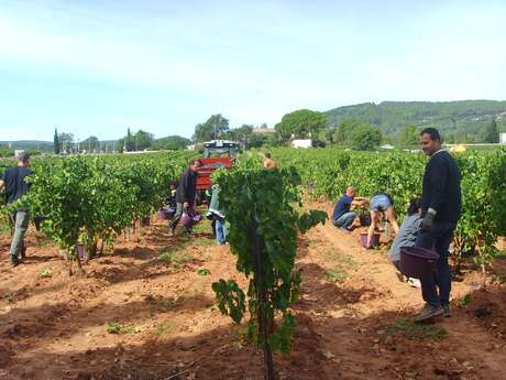 Domaine de la Maurette