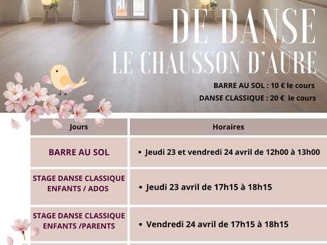 Stage de danse classique
