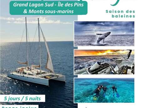 Croisière de Plongée Grand Lagon Sud - Ile des Pins et Monts sous marin- Baleine et Explo