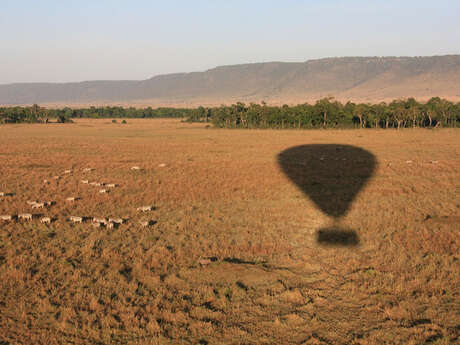 Concert : Tchikidan / Conservatoire Musique et Danse