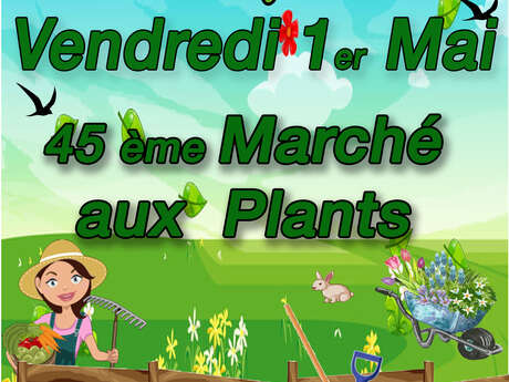 Marché aux plants