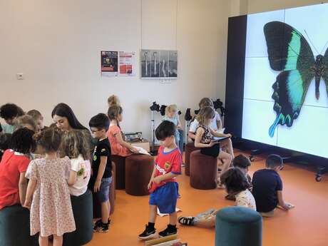 Micro-Folie Collection Mexico