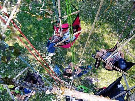 Posez vos valises auprès de nos arbres