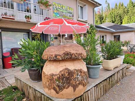 Camping le Lignon***