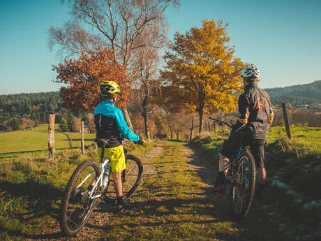 Circuit VTT Du Gamay à la Côte