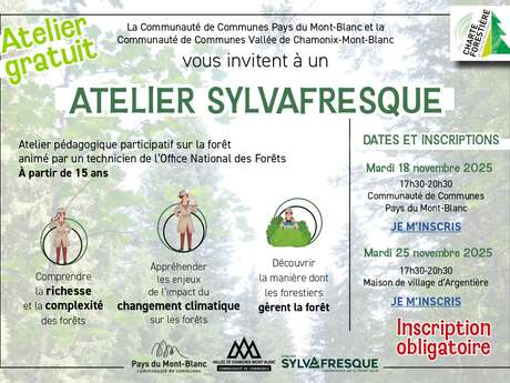 Atelier Sylvafresque - Comprendre les forêts